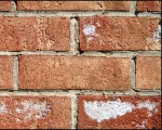 efflorescence-HR